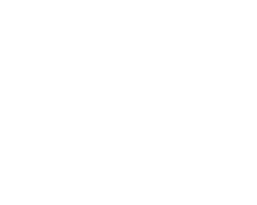 Vehicle Vision Assist – Leads integration